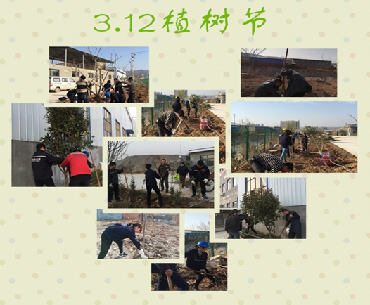 寶雞捷銳“迎春風(fēng)，綠家園”植樹節(jié)(圖3)